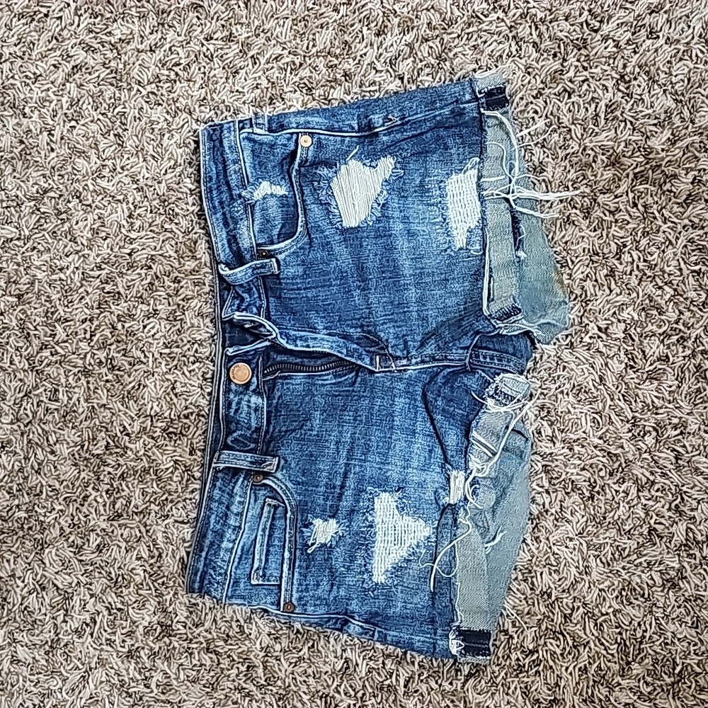 Blank nyc denim shorties